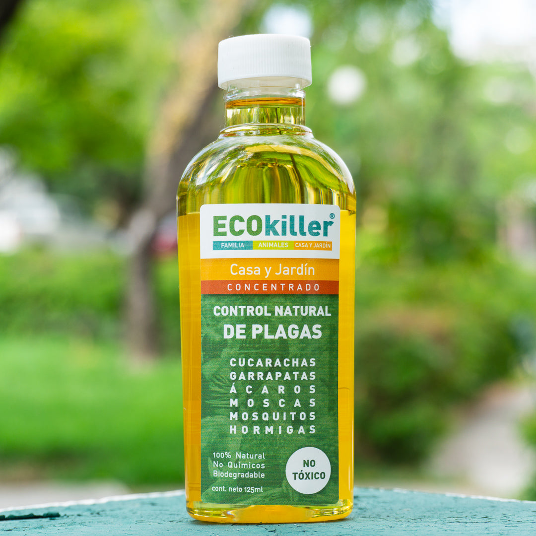 CASA Y JARDÍN CONCENTRADO