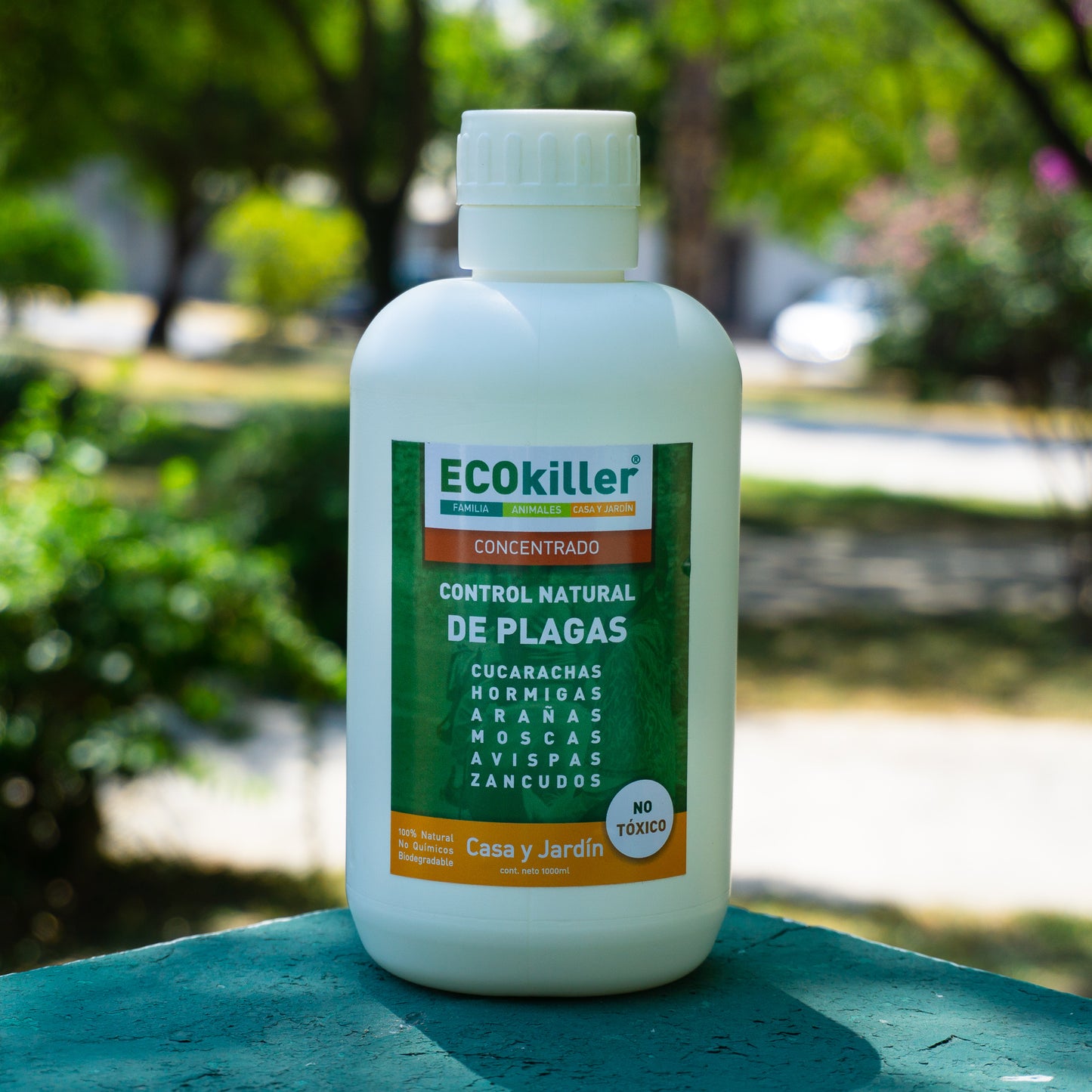 CASA Y JARDÍN CONCENTRADO