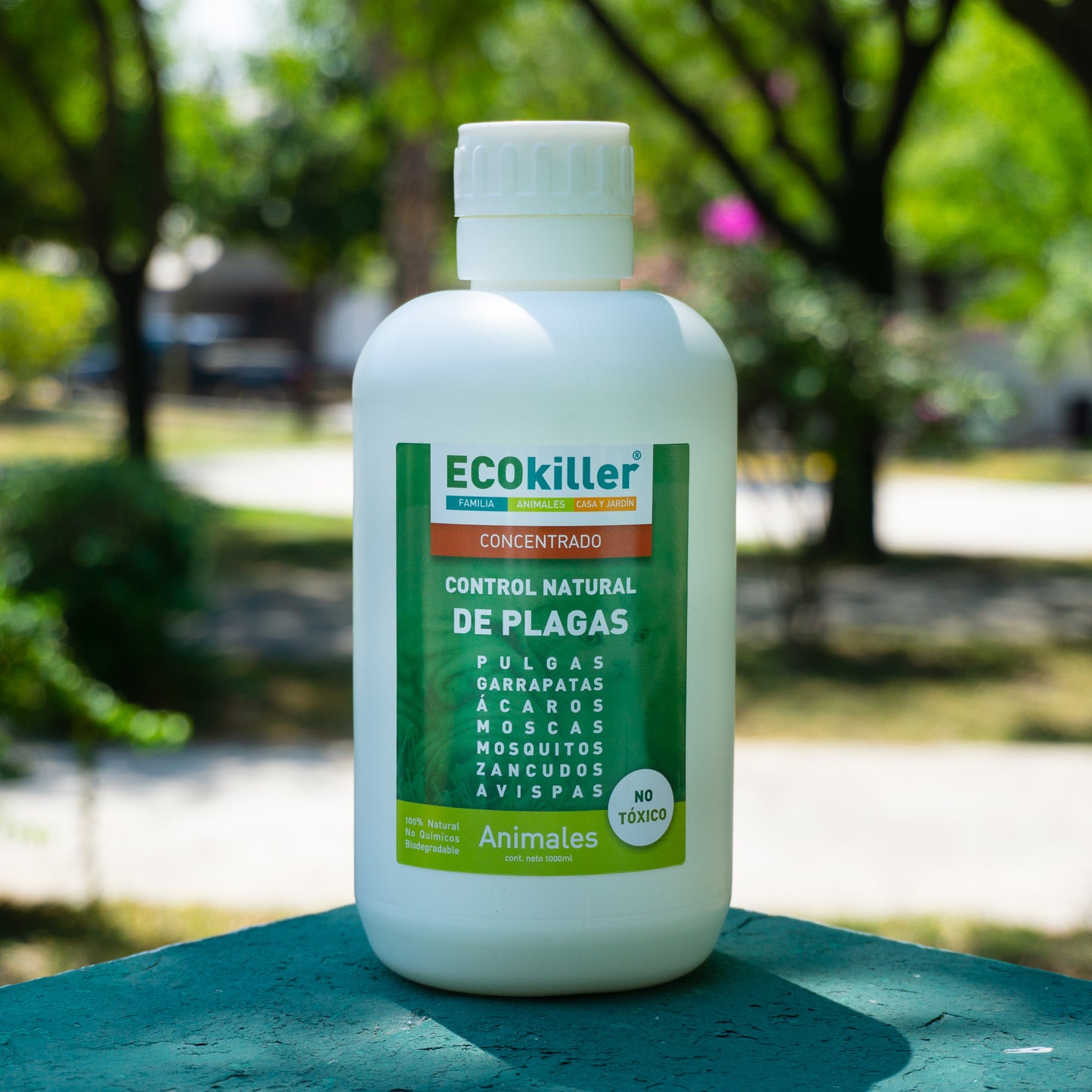 PULGAS Y GARRAPATAS CONCENTRADO